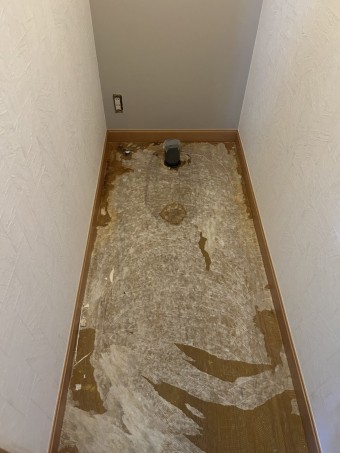 IMG_25621-e1698308825110